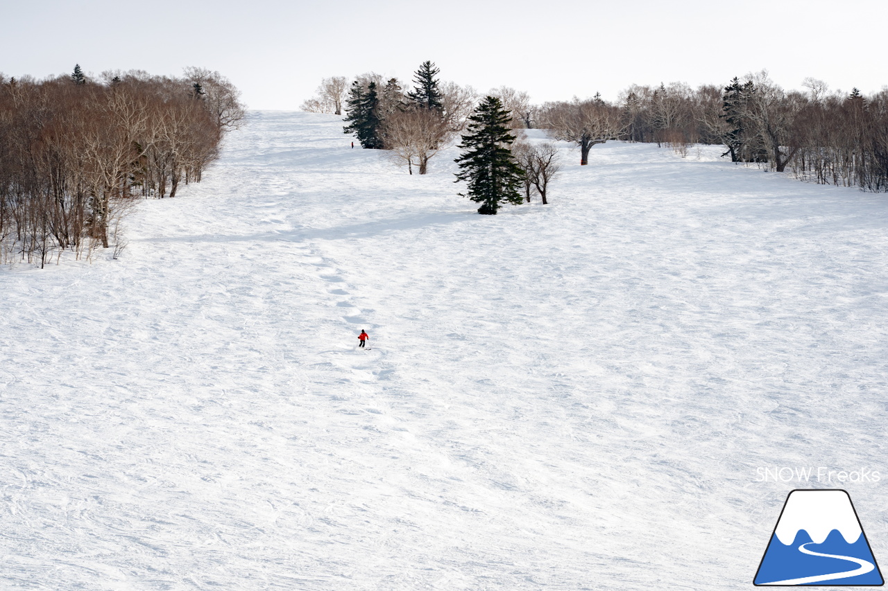 キロロリゾート｜今日の山頂積雪は「340cm」！ビシッと締まったロングコースで快適クルージングが楽しい１日♪